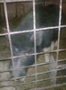 Image0907