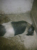 Image0908