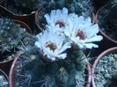 DSC01340