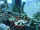 DSC01351