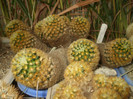 DSCF4932