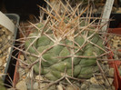 DSCF4958
