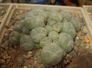 DSCF4967