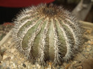 DSCF4968
