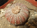 DSCF4969