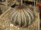DSCF4972
