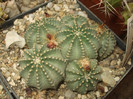 DSCF4977