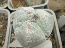 DSCF4983