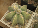 DSCF4986