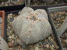 DSCF4989
