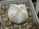 DSCF4990
