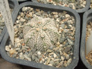 DSCF4994
