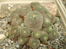 DSCF4997
