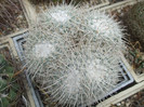 DSCF5005