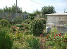 DSCF5015