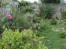 DSCF5017