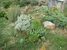 DSCF5018