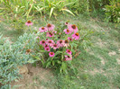 DSCF5020