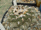 DSCF5029