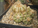DSCF5032