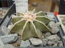 DSCF5033