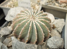 DSCF5035