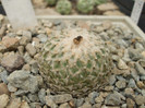 DSCF5038