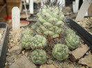 DSCF5039
