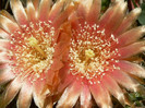 P1040259