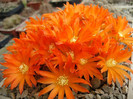 P1050723