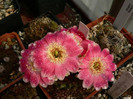 P1090388