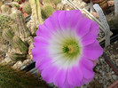 P1090431