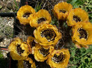 P1100299