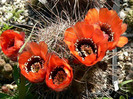 P1100316