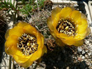 P1100330
