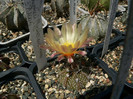 P1100416