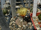P1100418