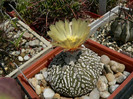 P1100423
