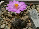 P1110473