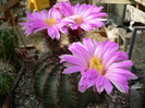 P1110810