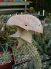 P1120371