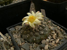 P1120426