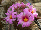 P1120427