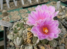 P1120555
