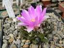 P1120557