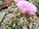 P1120558