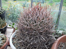 DSCF4096
