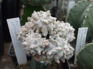 DSCF4122