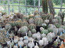 DSCF4125