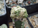 DSCF4138